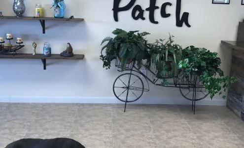 The Petal Patch Florist business photo