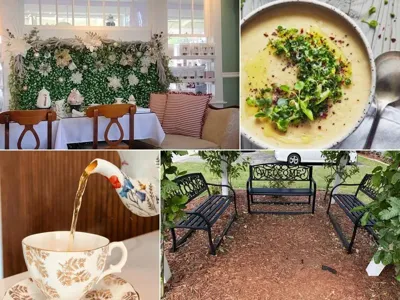 Wisteria Tea Room & Café, business photo 1