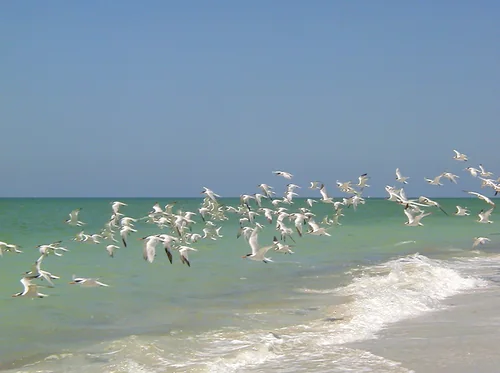 Captiva Island